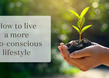 Conscious eco lifestyle ways easy live