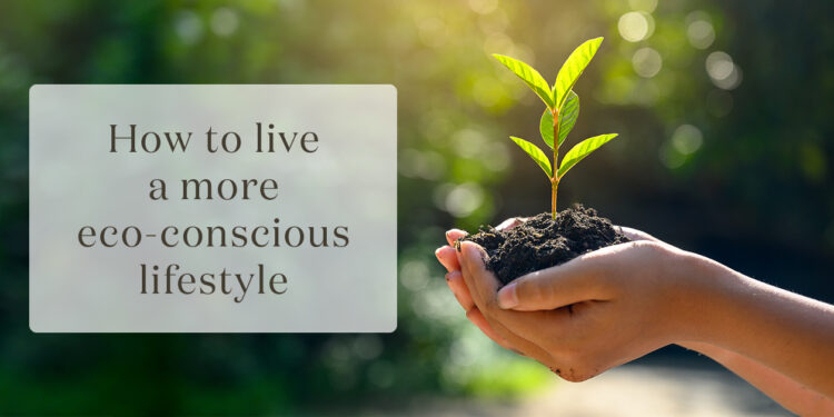 Conscious eco lifestyle ways easy live